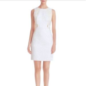 Calvin Klein Zebra Brocade Dress in Mint size 6